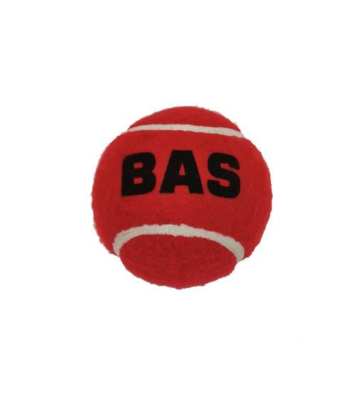 BAS Heavy Tennis Balls (box of 6) - Mansfield Sports Group