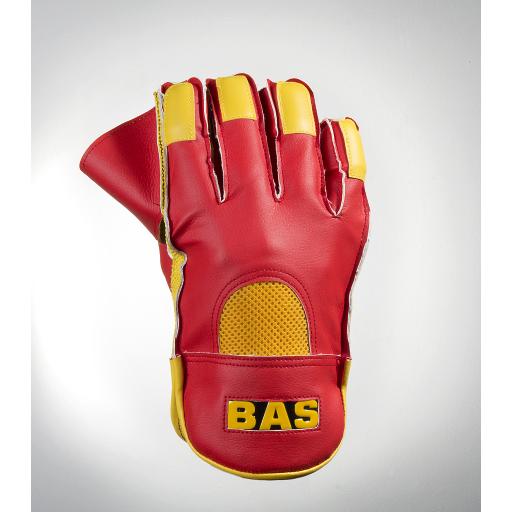 Classic Wicket Keeping Gloves