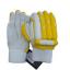 BAS IPL Player PRO Gloves Swatch